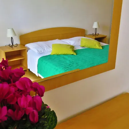 Zvone Apartament